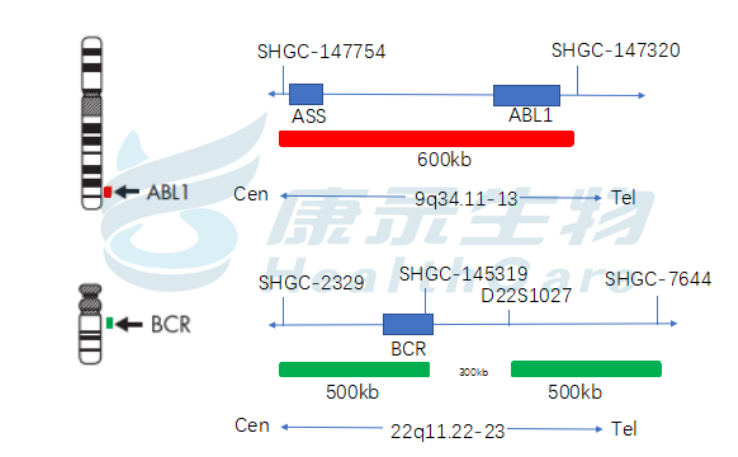 中国·拉斯维加斯(3499·官方认证)网站-Officialwebsite